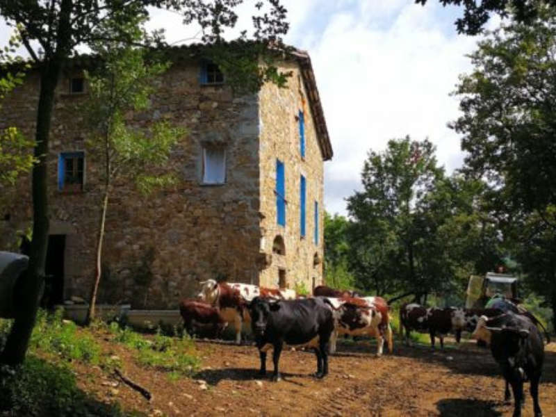 Organic Farming In Spain | The Rural Property Network