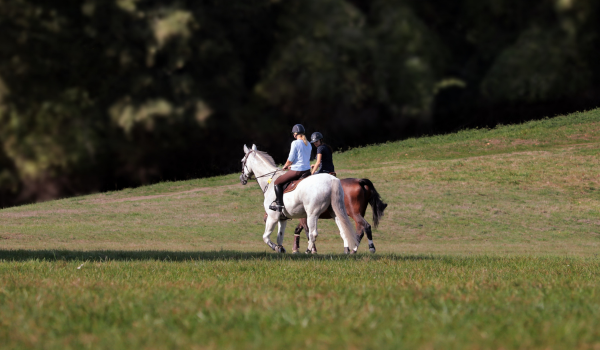 Selling Your Equestrian Property?