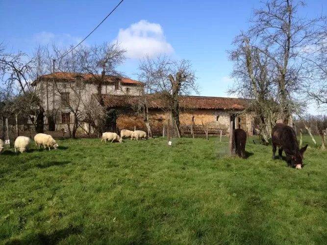 Bussière-Poitevine, VAL-D\'OIRE-ET-GARTEMPE, 87320, France, farm, smallholding, equestrian property, holiday rentals, gites