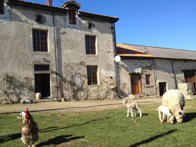 Bussière-Poitevine, VAL-D\'OIRE-ET-GARTEMPE, 87320, France, farm, smallholding, equestrian property, holiday rentals, gites