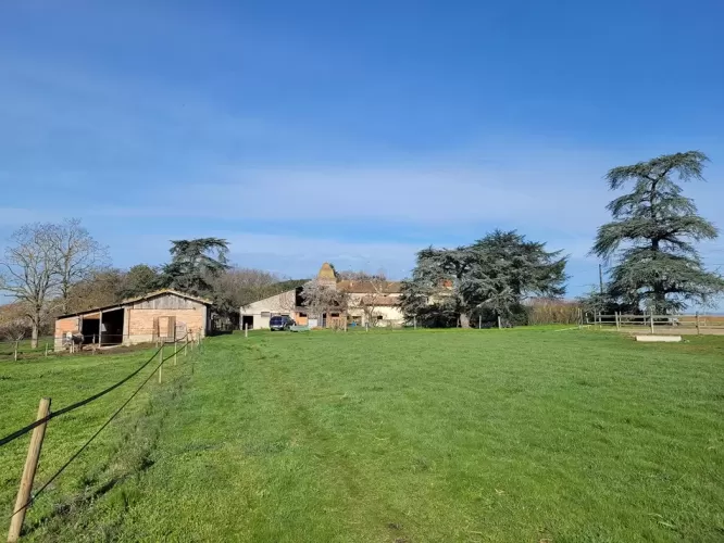 Lisle-sur-Tarn, France, Farm, Smallholding, Equestrian, 8.8 hectares 