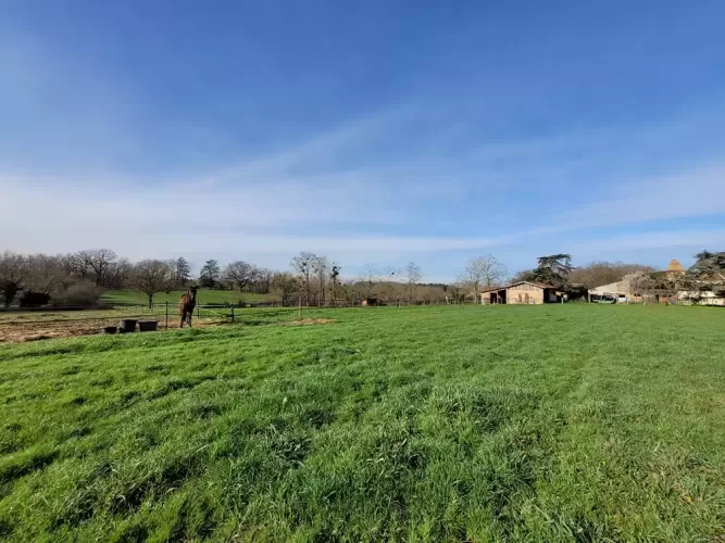 Lisle-sur-Tarn, France, Farm, Smallholding, Equestrian, 8.8 hectares 