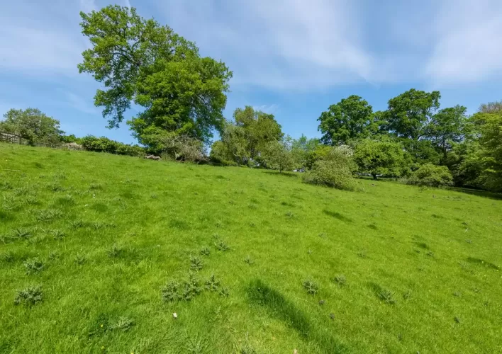 Georgian House, holiday lets, 13 acres, Brecon