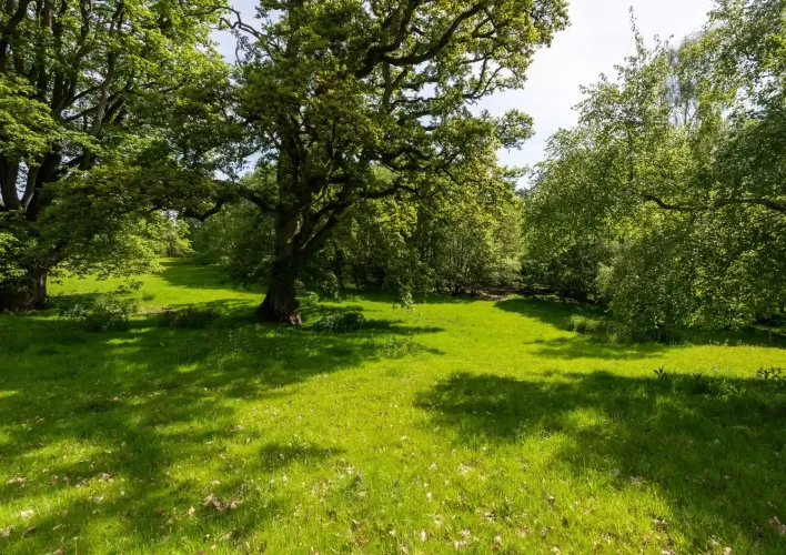 Georgian House, holiday lets, 13 acres, Brecon