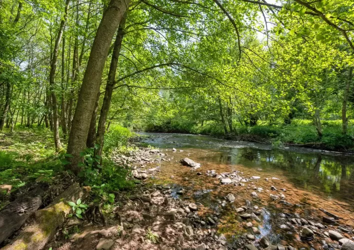 Georgian House, holiday lets, 13 acres, Brecon