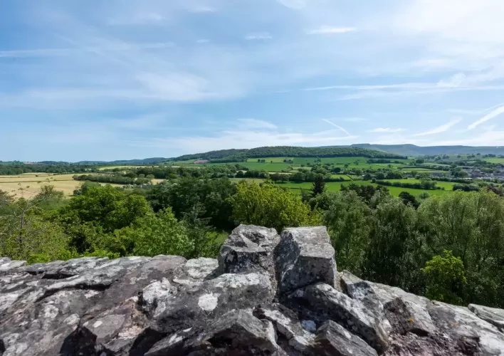 Georgian House, holiday lets, 13 acres, Brecon