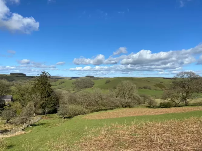 Llandeilo'r Fan, United Kingdom1196