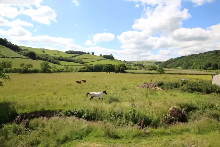 Lower Capel, LD3 9RF,  Smallholding, Equestrian  property, wales