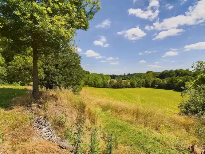 Smallholding, Equestrian property,  2 hectares, land, plantation, pasture, Monflanquin,  France, 