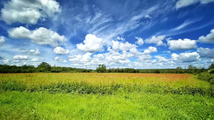 Farm Estate, holiday lets, multi-generational living, land, stables, shop  Creuse France