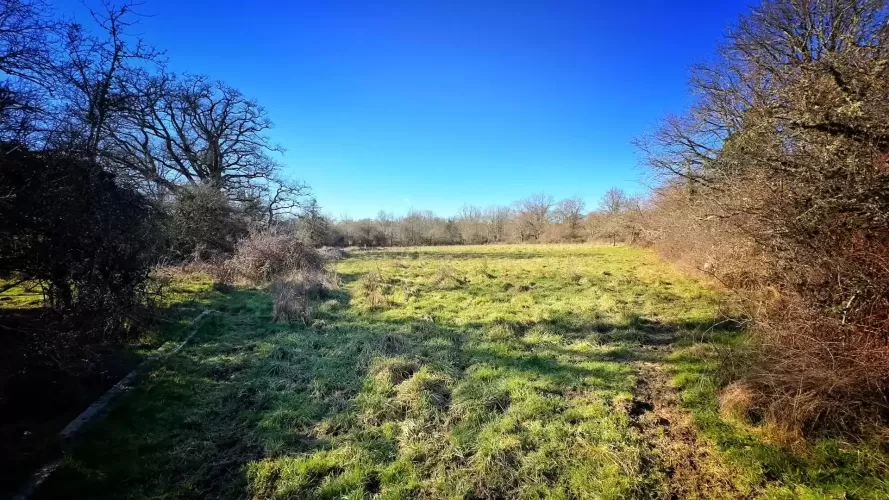 renovation, smallholding, boussac