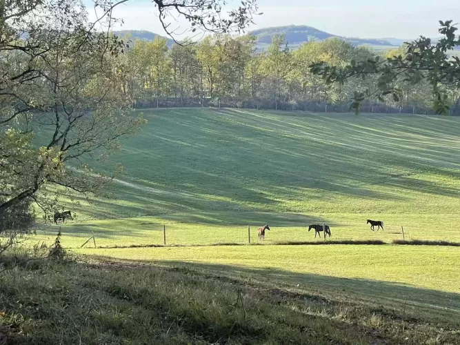 Equestrian property, 40 hectares, pool, guest house, Penne d Agenais,  France 