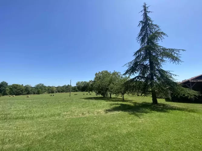 Cottage,  barn,  land,  Villereal , Bergerac, smallholding, holiday home