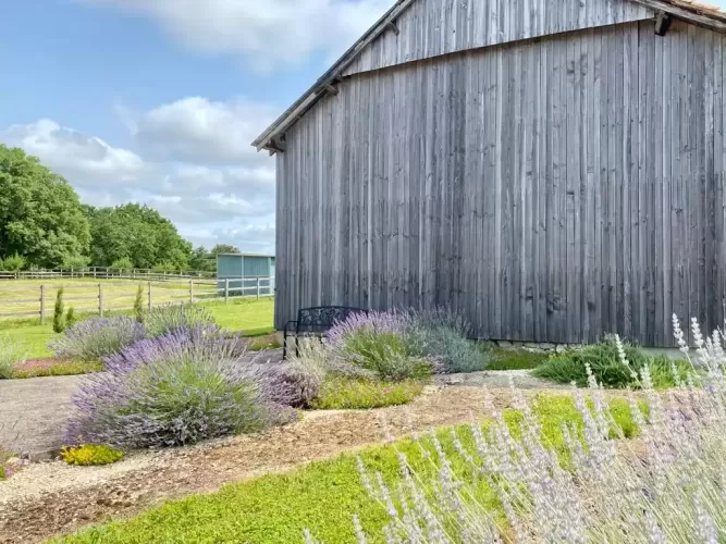 Equestrian Property,  4.9ha land, pool, Beaumont du Perigord