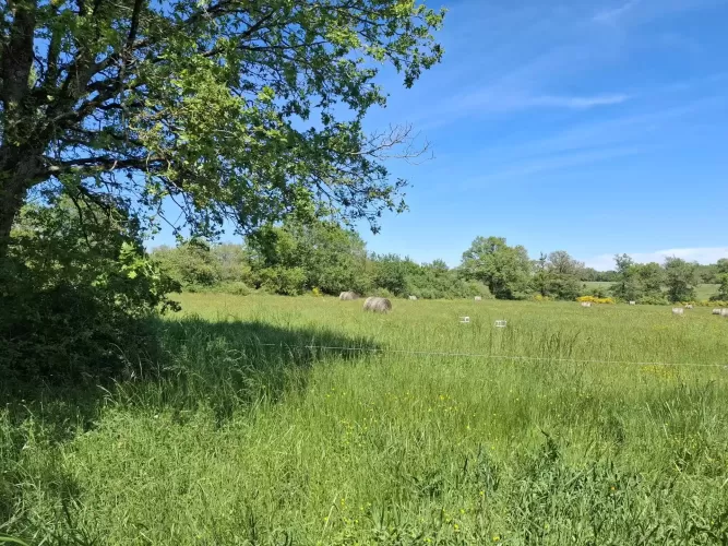 Farmhouse, second house, outbuildings,  27 hectares, Limousin , Oradour-Saint-Genest