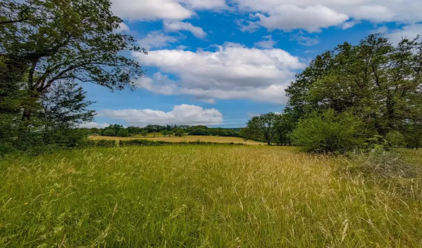 Labastide Murat, Lot, 46240, France1227