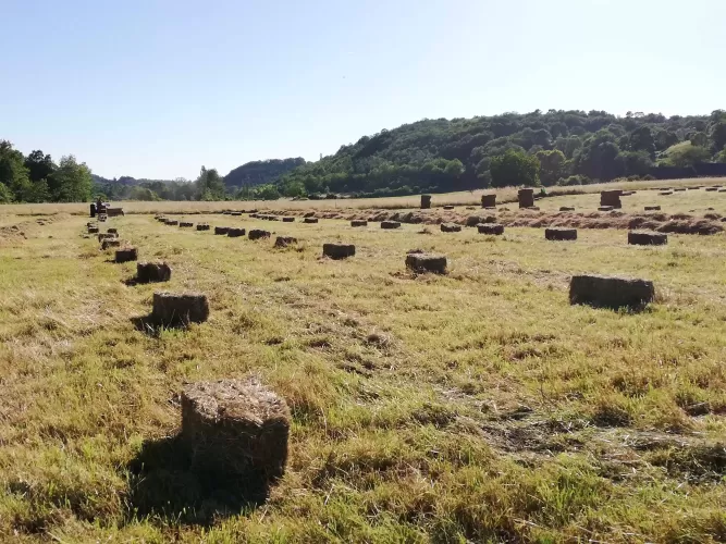 4-bed, Equestrian Property, holiday lets, multi-generational living, pool, stables, 6 hectares, off-road riding, monpazier, belves, perigord, dordogne