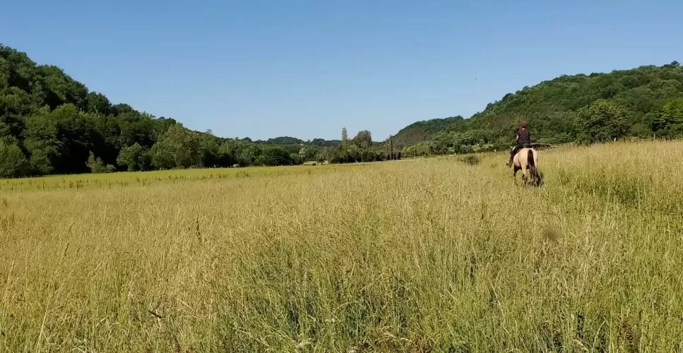 4-bed, Equestrian Property, holiday lets, multi-generational living, pool, stables, 6 hectares, off-road riding, monpazier, belves, perigord, dordogne