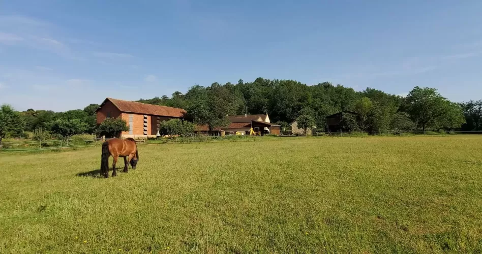 4-bed, Equestrian Property, holiday lets, multi-generational living, pool, stables, 6 hectares, off-road riding, monpazier, belves, perigord, dordogne