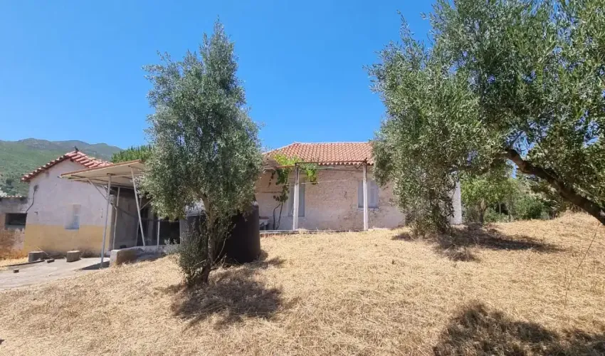 Renovation project, cottags,  outbuildings,  olive trees, Gytheio, Greece , 1.60 Hectares, off-grid, nomad