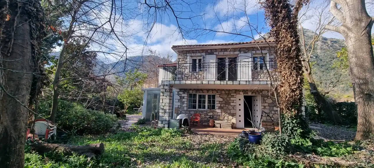 A charming, detached house with unique details