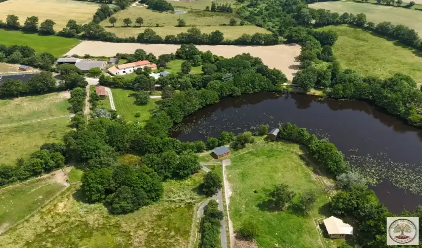 Vendée property, equestrian property France, property with lake, French retreat for sale, wellness business France, rural estate for sale, guest accommodation France, lifestyle property France, property with land, French countryside home, investment property France