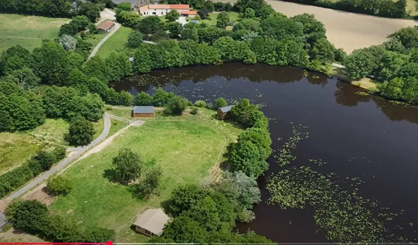Vendée property, equestrian property France, property with lake, French retreat for sale, wellness business France, rural estate for sale, guest accommodation France, lifestyle property France, property with land, French countryside home, investment property France