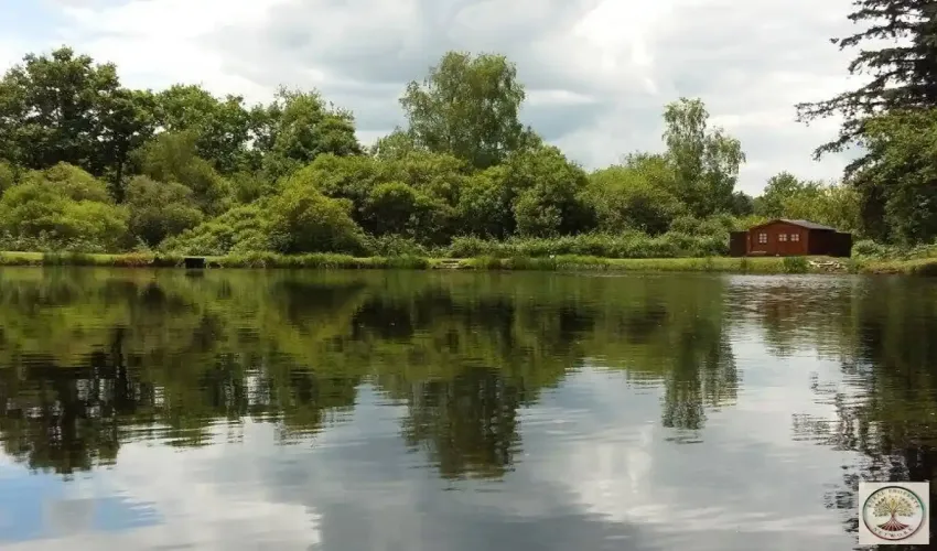 fishing lake for sale France, catfish lake France, carp fishing property, fishing business opportunity, lake with chalet, property with lake Haute-Vienne, rural property Limoges, French property with land, fishing lake near Limoges, secluded property France, commercial fishing lake France, lake and woodland for sale
