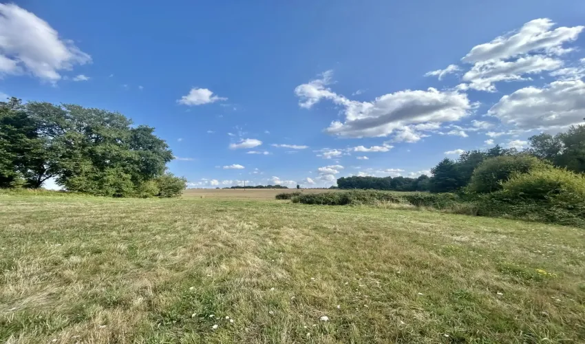 rural estate, property with land, Civray, Vienne, two homes, gîte, holiday rental potential, lake, woodland, pasture, swimming pool, barns, outbuildings, private location, no near neighbours, multi-generational living, French countryside property, income potential
