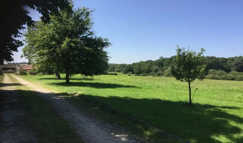 rural estate, property with land, Civray, Vienne, two homes, gîte, holiday rental potential, lake, woodland, pasture, swimming pool, barns, outbuildings, private location, no near neighbours, multi-generational living, French countryside property, income potential