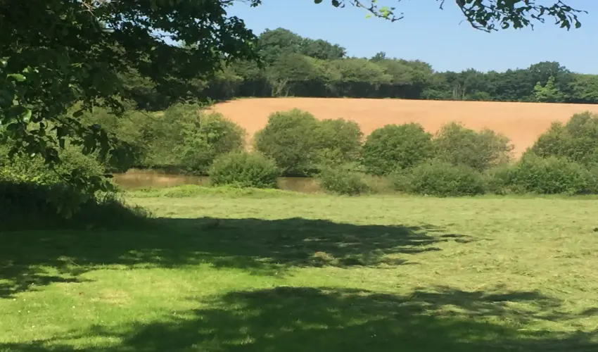 rural estate, property with land, Civray, Vienne, two homes, gîte, holiday rental potential, lake, woodland, pasture, swimming pool, barns, outbuildings, private location, no near neighbours, multi-generational living, French countryside property, income potential