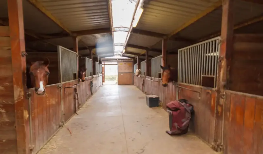 equestrian property Laillé, equestrian property Ille-et-Vilaine, property near Rennes, horse property Brittany, equestrian centre for sale France, 13 hectares France, indoor arena France, stables for sale Brittany, training yard France, 4 bedroom house with land France, equestrian facilities near Rennes, Ille-et-Vilaine horse property