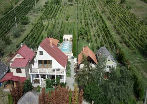 Farming EnterpriseVinica, 99128, SlovakiaFor Sale