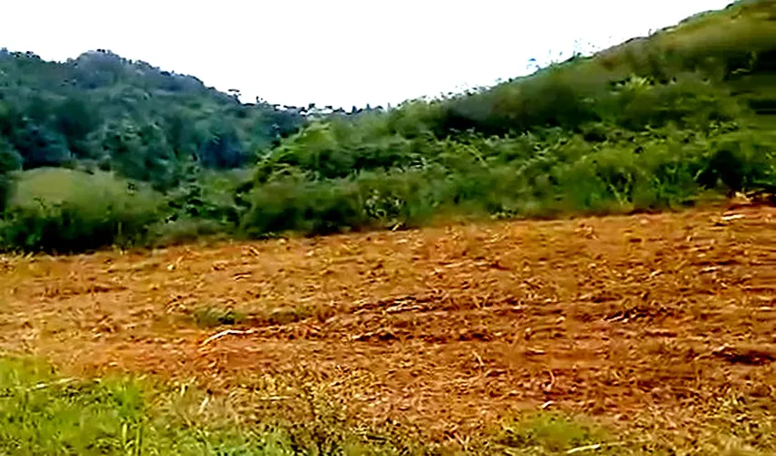 Off-Grid / Tiny HomesLe Robert, Martinique, 97231, FranceFor Sale