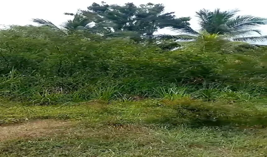 Off-Grid / Tiny HomesLe Robert, Martinique, 97231, FranceFor Sale