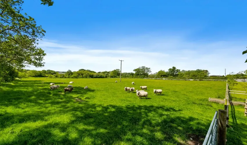 Sunnyside Farm, property for sale near Wedmore, Somerset farmhouse for sale, Westhay property for sale, Edwardian farmhouse Somerset, country house with land Somerset, five-bedroom farmhouse, rural property Somerset, property with six acres, smallholding potential Somerset, farmhouse with pasture, multigenerational home Somerset, country property near Glastonbury, detached farmhouse for sale, property with outbuildings Somerset, property with orchard, rural family home, lifestyle property Somerset, house with land near Wells, West Country property for sale