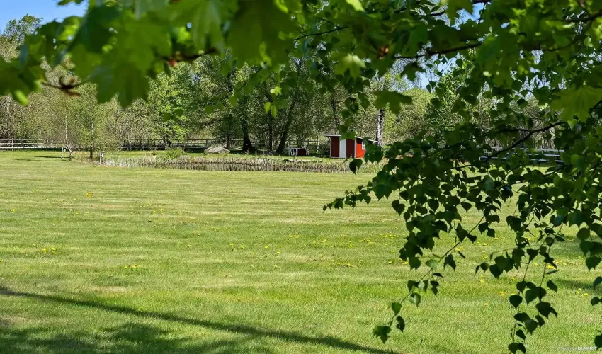 equestrian property Sweden, equestrian estate Skåne, horse farm Sweden, professional equestrian facility, indoor arena Sweden, riding arena Sweden, equestrian business for sale, horse property with income, rural property Skåne, Linderöd property for sale, Swedish horse farm, property with stables Sweden, equestrian training facility Europe