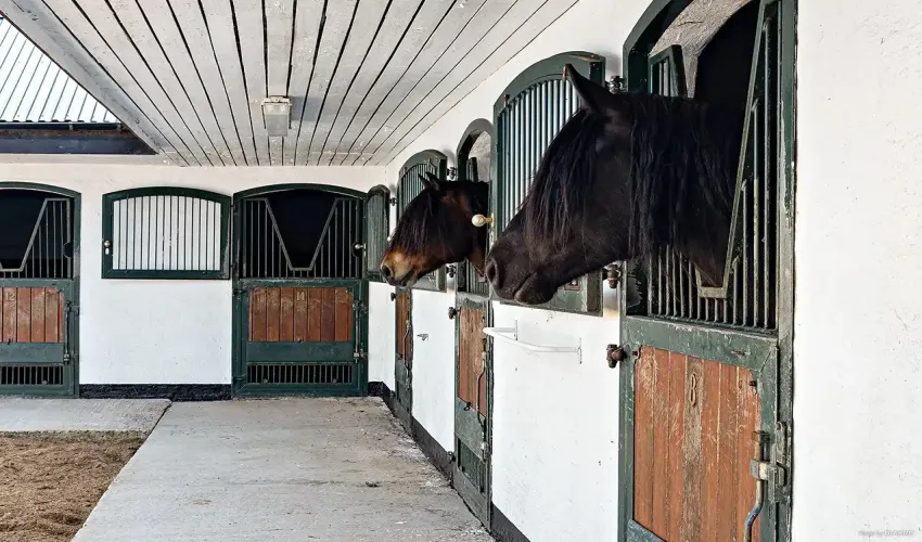 equestrian property Sweden, equestrian estate Skåne, horse farm Sweden, professional equestrian facility, indoor arena Sweden, riding arena Sweden, equestrian business for sale, horse property with income, rural property Skåne, Linderöd property for sale, Swedish horse farm, property with stables Sweden, equestrian training facility Europe