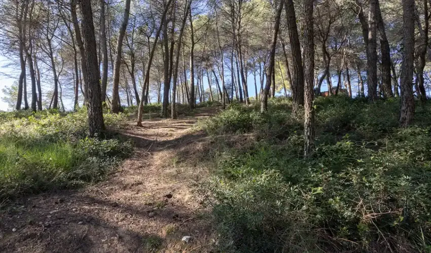 Country Estate / MansionCollbato, 08293, SpainFor Sale